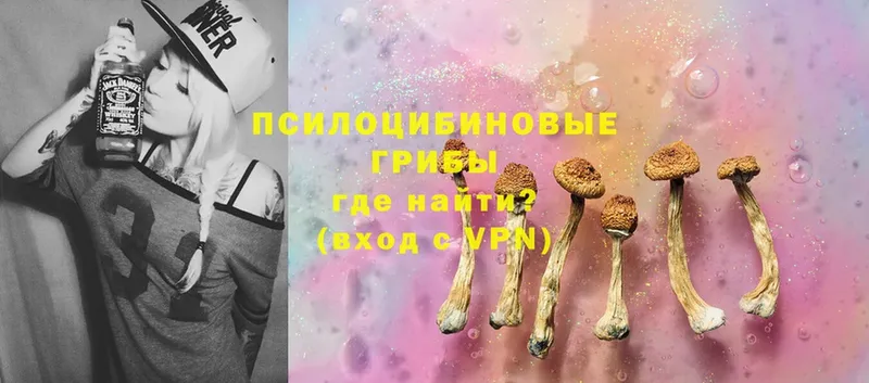 Галлюциногенные грибы Cubensis  Мытищи 